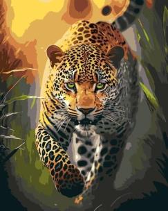 Malowanie po numerach - Wdzięku drapieżnika 40x50. Wydawca: Qbee. Multiszop.pl Opakowanie Malowanie po numerach - Wdzięku drapieżnika 40x50