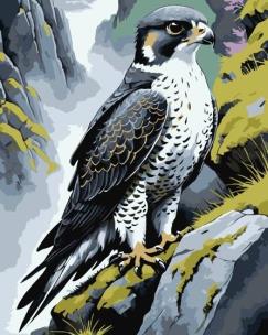 Malowanie po numerach - Wędrowiec na skale 40x50cm. Wydawca: Qbee. Multiszop.pl Opakowanie Malowanie po numerach - Wędrowiec na skale 40x50cm