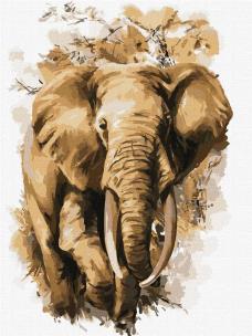 Opakowanie Malowanie po numerach - Wielka mądrość 30x40