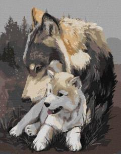 Opakowanie Malowanie po numerach - Wilcza delikatność 30x40cm