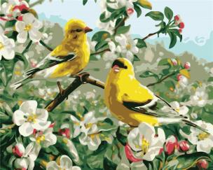 Opakowanie Malowanie po numerach - Wilgi 40x50cm