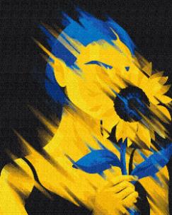 Opakowanie Malowanie po numerach - Wolność 40x50cm