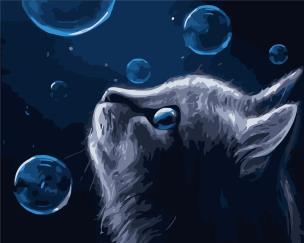 Opakowanie Malowanie po numerach - Zaczarowany kotek 40x50cm