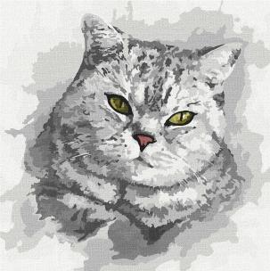 Opakowanie Malowanie po numerach - Zielonookie.. 30x30cm