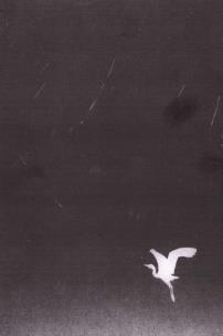 Okładka książki Manowce