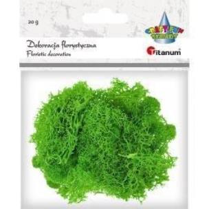 Opakowanie Mech chrobotek jasnozielony 20g