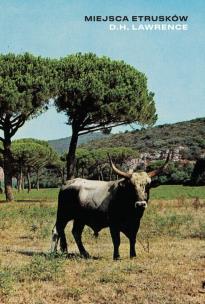 Okładka książki Miejsca Etrusków