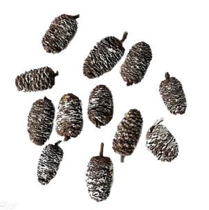 Opakowanie Mini szyszki bielone 12szt