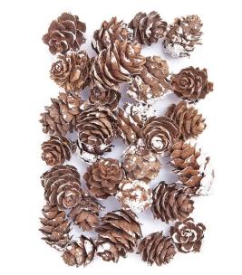 Opakowanie Mini szyszki bielone 25g