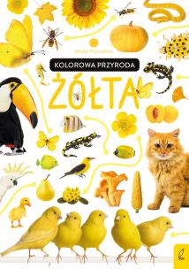 Młodzi przyrodnicy Kolorowa przyroda Żółta. Autor: Patrycja Zarawska. Multiszop.pl Okładka książki Młodzi przyrodnicy Kolorowa przyroda Żółta