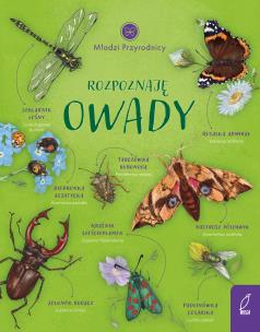 Młodzi przyrodnicy Rozpoznaję owady. Autor: Patrycja Zarawska. Multiszop.pl Okładka książki Młodzi przyrodnicy Rozpoznaję owady