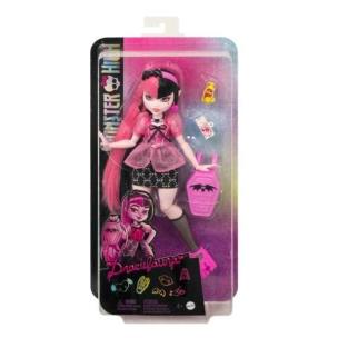 Opakowanie Monster High. Lalka z akcesoriami HKY71