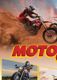 Motocykle. Autor:   Praca zbiorowa. Multiszop.pl Okładka książki Motocykle