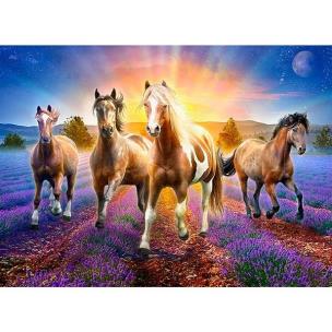 Opakowanie Mozaika diamentowa 5D - Konie 40x30cm