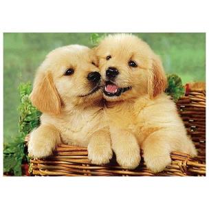 Opakowanie Mozaika diamentowa 5D - Psy 40x30cm