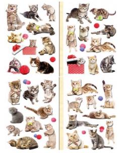 Opakowanie Naklejki 3D koty MIX