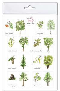 Opakowanie Naklejki Drzewa 2
