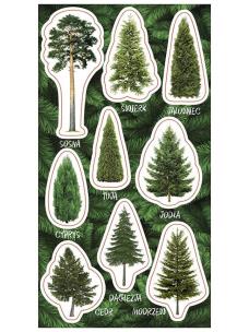 Opakowanie Naklejki Drzewa iglaste