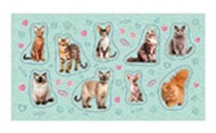 Opakowanie Naklejki Kot