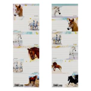 Opakowanie Naklejki na zeszyt Horses 1 (25szt)