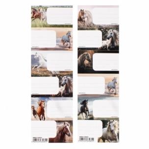 Opakowanie Naklejki na zeszyt Konie (25szt)