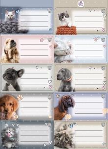 Naklejki na zeszyty pasek The Sweet Pets. Wydawca: Beniamin. Multiszop.pl Opakowanie Naklejki na zeszyty pasek The Sweet Pets