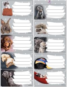 Opakowanie Naklejki na zeszyty The Sweet Pets