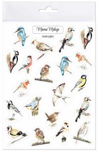 Opakowanie Naklejki Ptaki