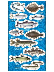 Opakowanie Naklejki Ryby bałtyckie