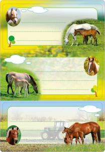 Opakowanie Naklejki szkolne - Konie 6szt