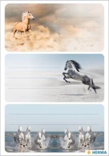 Opakowanie Naklejki szkolne - Konie 9szt