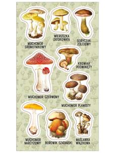 Opakowanie Naklejki Trujące grzyby