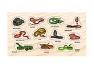 Opakowanie Naklejki Żmije i węże