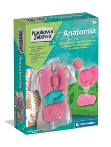 Opakowanie Naukowa Zabawa. Anatomia