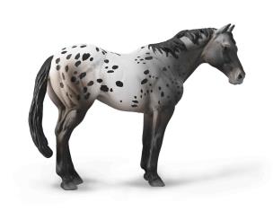 Opakowanie Niebieski Deresz Appaloosa