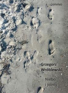 Okładka książki Niebo i jointy