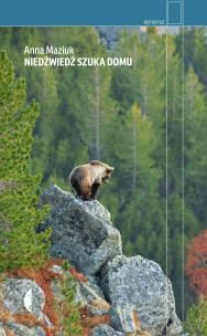 Okładka książki Niedźwiedź szuka domu