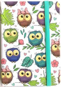 Opakowanie Notatnik ozdobny 115x150/120K kratla TW Sowy