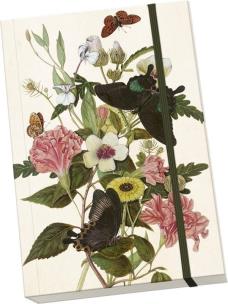 Opakowanie Notatnik ozdobny A5 STNOTE 111 Motyle