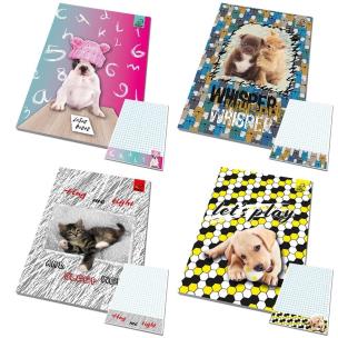 Opakowanie Notes A6 poddruk Best Friends zwierzaki (1szt)