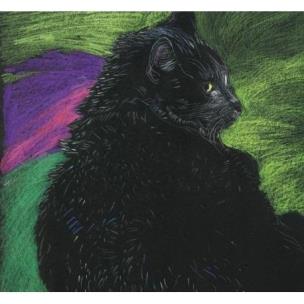 Opakowanie Notes. Kot zielony w.2023