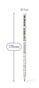 Opakowanie Ołówek z papieru z odzysku HB Green