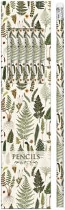 Opakowanie Ołówki ozdobne STPEN04 paprotki 6 sztuk