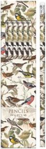 Opakowanie Ołówki ozdobne STPEN06 ptaszki 6 sztuk