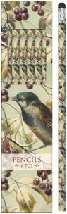 Opakowanie Ołówki ozdobne STPEN24 ptaszek na gałęzi - 6szt