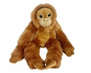 Opakowanie Orangutan big eyes 50cm