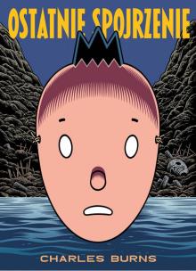 Okładka książki Ostatnie spojrzenie