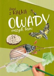 Owady naszych lasów. Zeszyt z kalką. Autor: Katarzyna Kopiec-Sekieta. Multiszop.pl Okładka książki Owady naszych lasów. Zeszyt z kalką