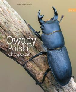 Owady Polski T.2 Chrząszcze. Autor: Kozłowski Marek W.. Multiszop.pl Okładka książki Owady Polski T.2 Chrząszcze