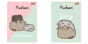 Opakowanie Paczka Zeszyt A4 32 k. kratka Pusheen 15 szt.